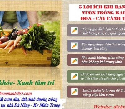 Giải trí - Ẩm thực