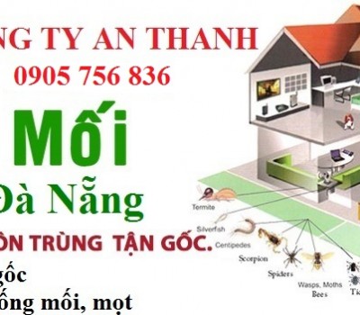 Diệt mối – Diệt côn trùng