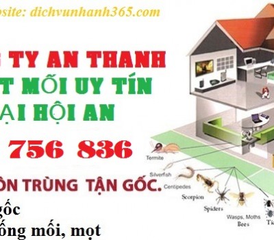 Diệt mối – Diệt côn trùng