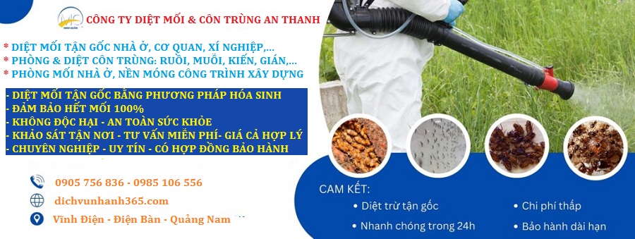 công ty diệt mối giá rẻ tại vĩnh điện