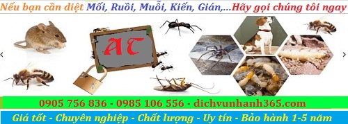 công ty diệt mối tại vĩnh điện