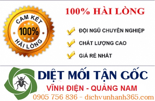 diệt mối tận gốc vĩnh điện