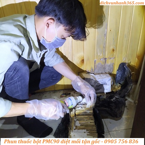 diệt mối tốt nhất tại vĩnh điện