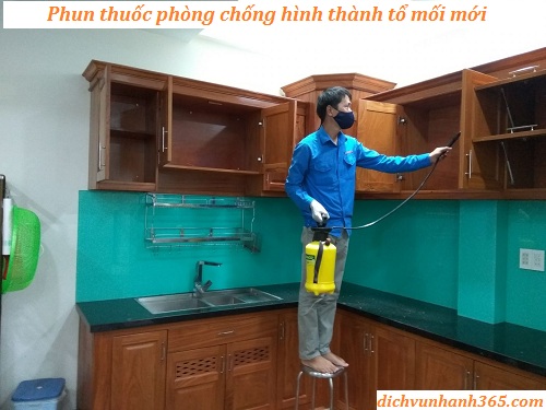phòng mối nhà ở vĩnh điện