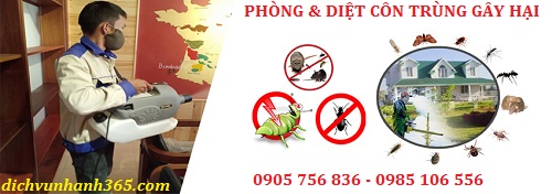 phòng và diệt côn trùng tại vĩnh điện