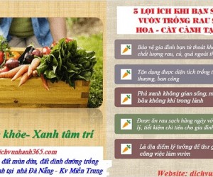 Quảng bá thương hiệu