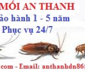 Quảng bá thương hiệu